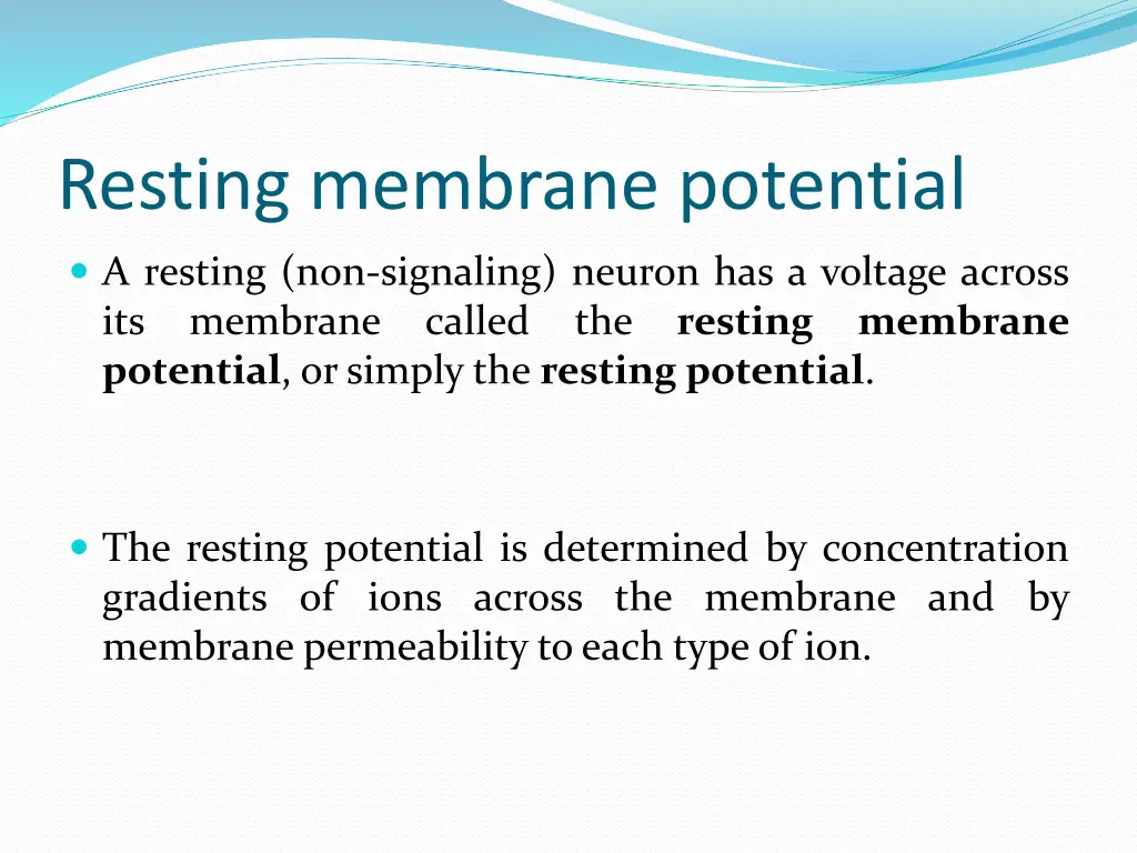 resting membrane potential