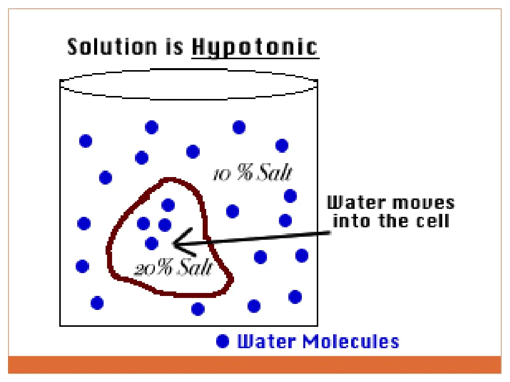 slide18