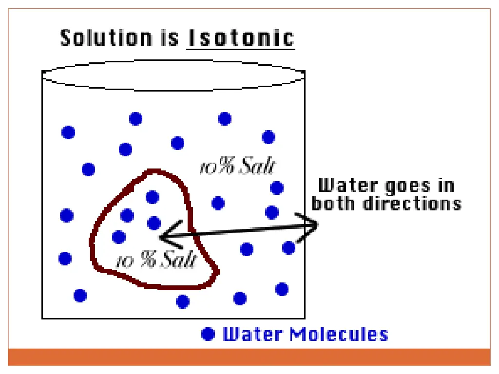 slide19