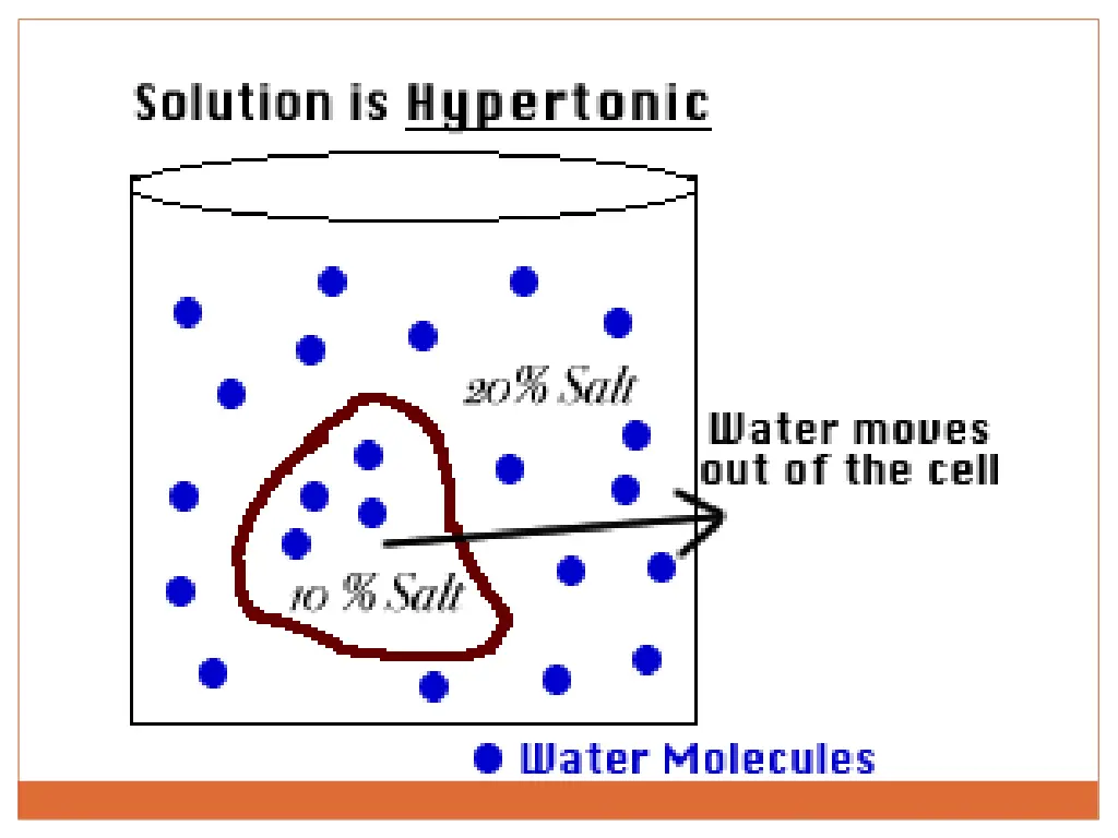 slide20