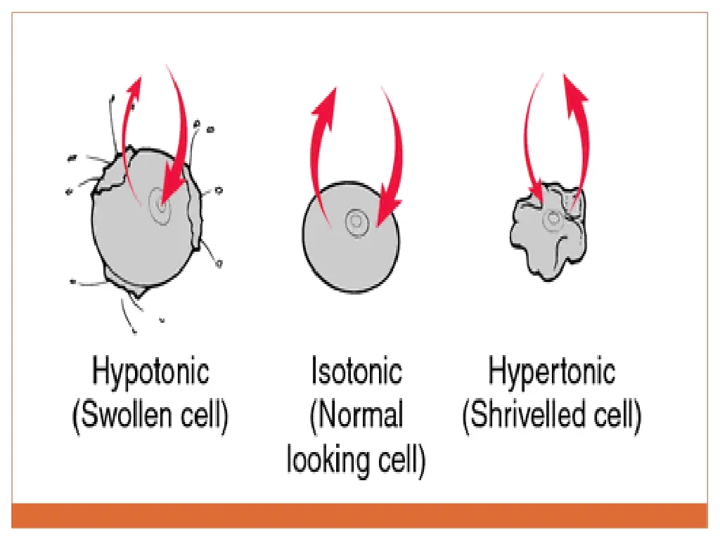 slide21