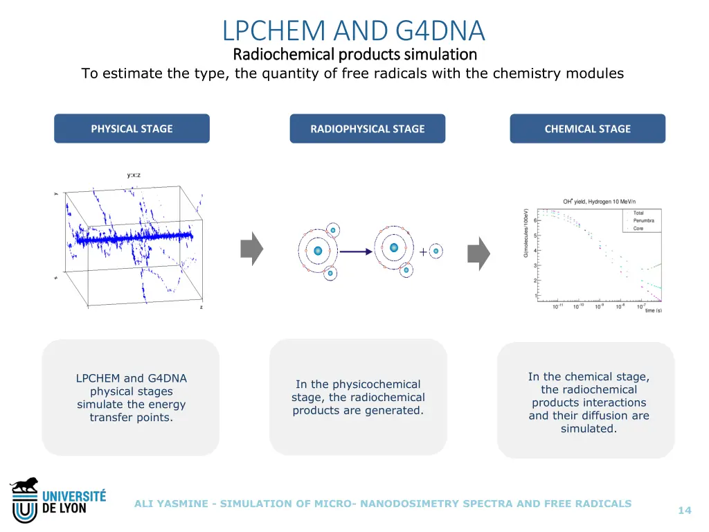 lpchem and g4dna radiochemical radiochemical