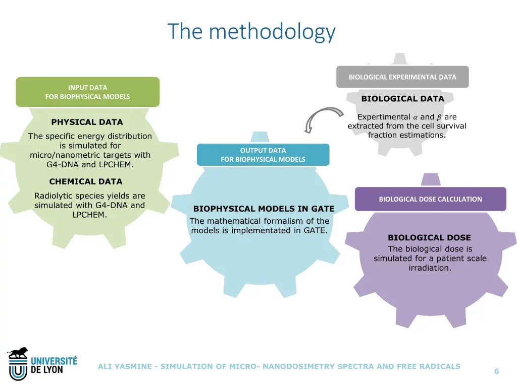 the methodology