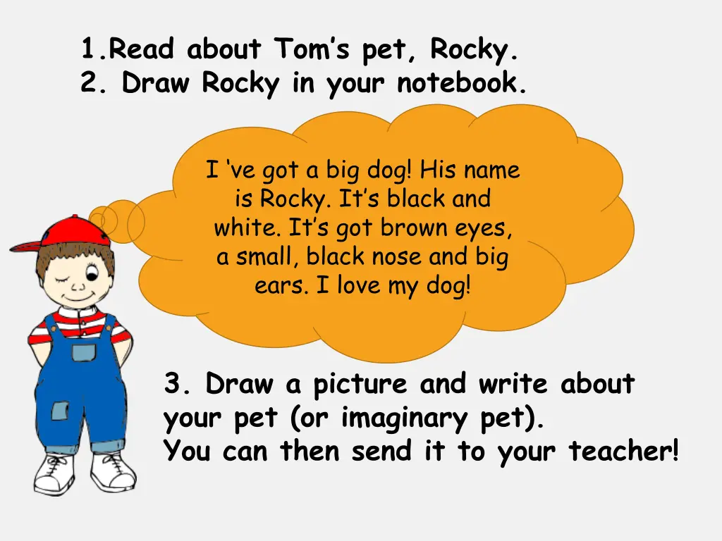1 read about tom s pet rocky 2 draw rocky in your