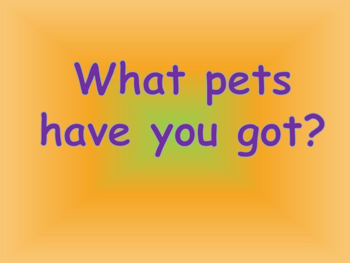 what pets have you got