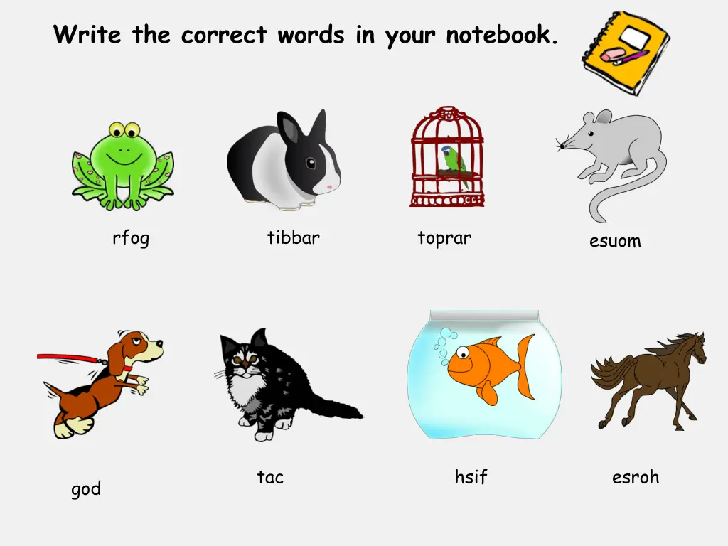 write the correct words in your notebook