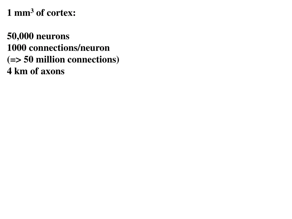 1 mm 3 of cortex