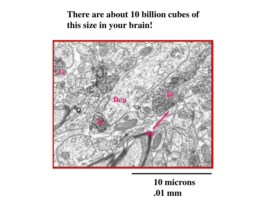 there are about 10 billion cubes of this size