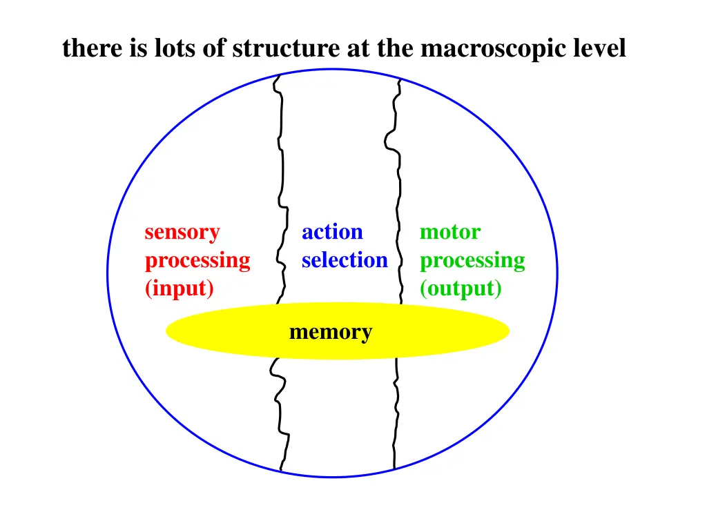 there is lots of structure at the macroscopic