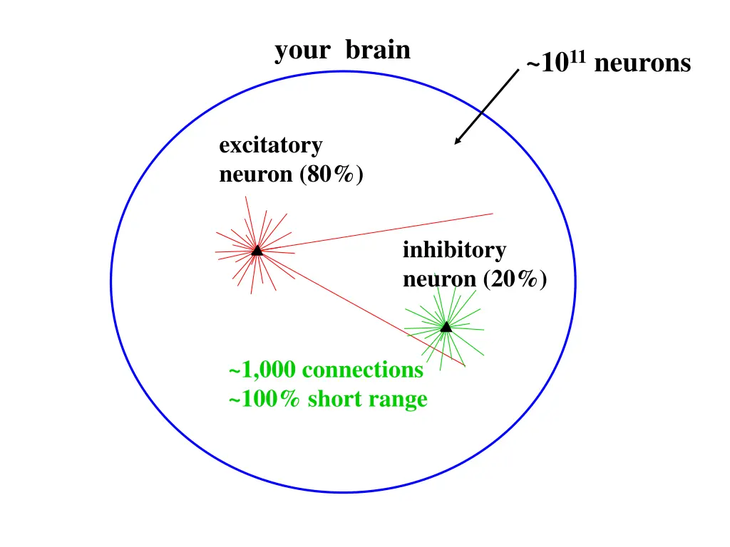 your brain 2