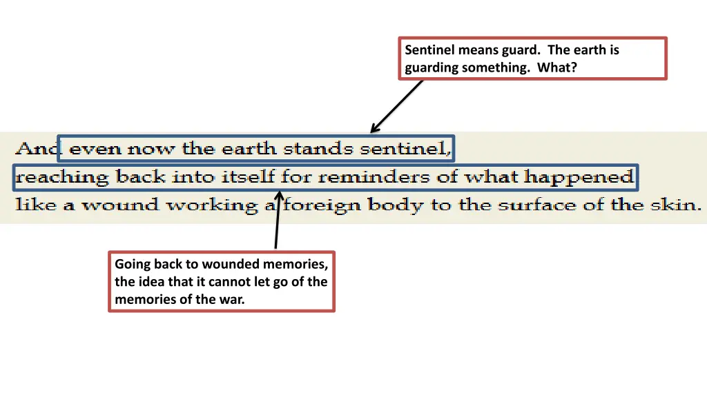 sentinel means guard the earth is guarding