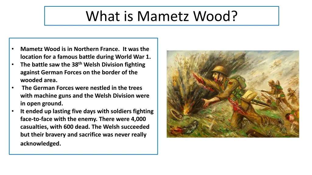 what is mametz wood
