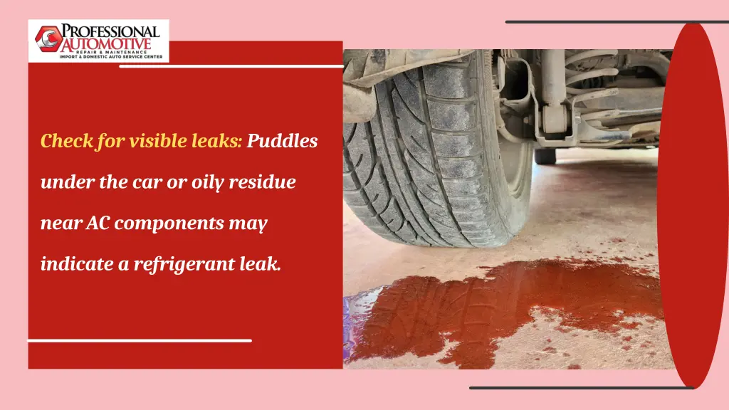 check for visible leaks puddles