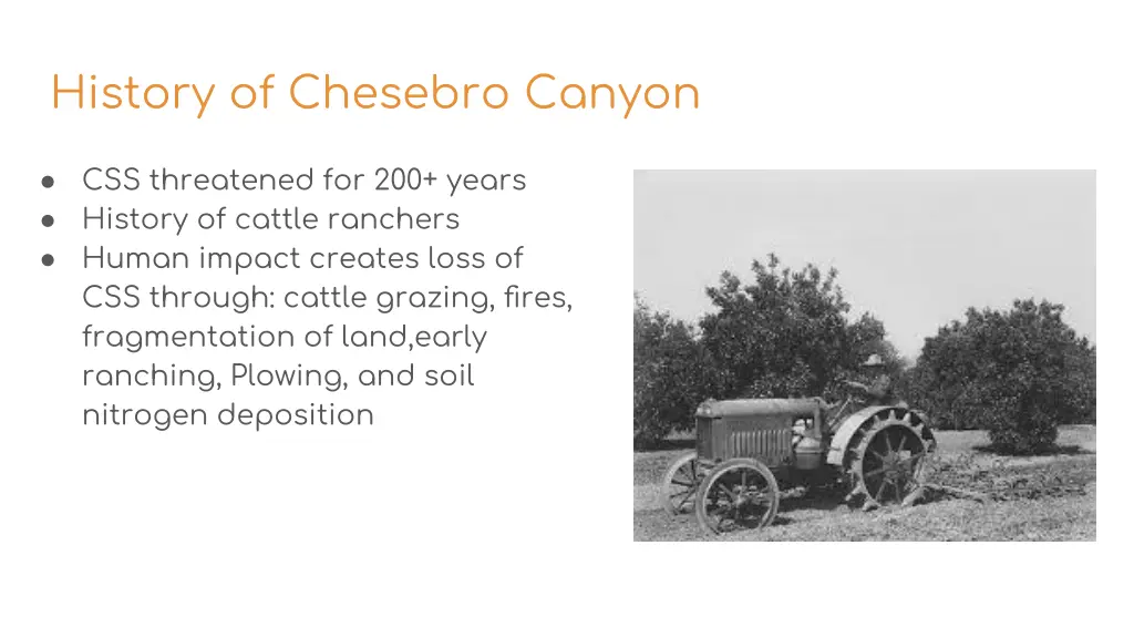 history of chesebro canyon