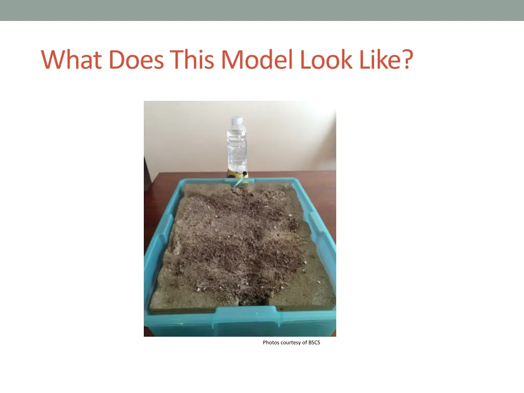 what does this model look like