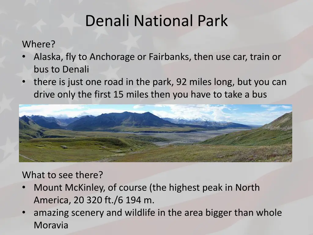 denali national park