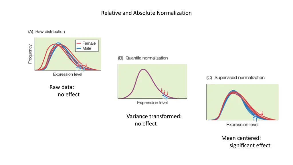 relative and absolute normalization