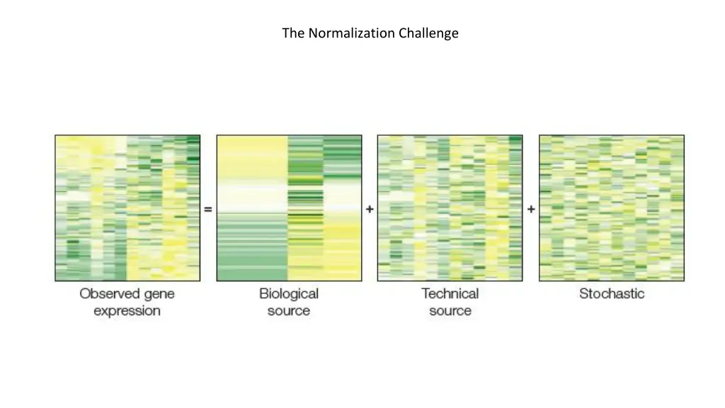 the normalization challenge