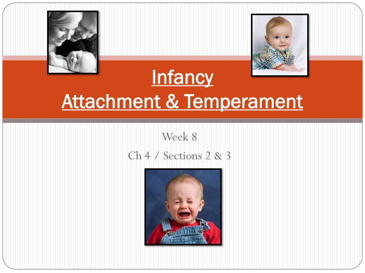 infancy infancy
