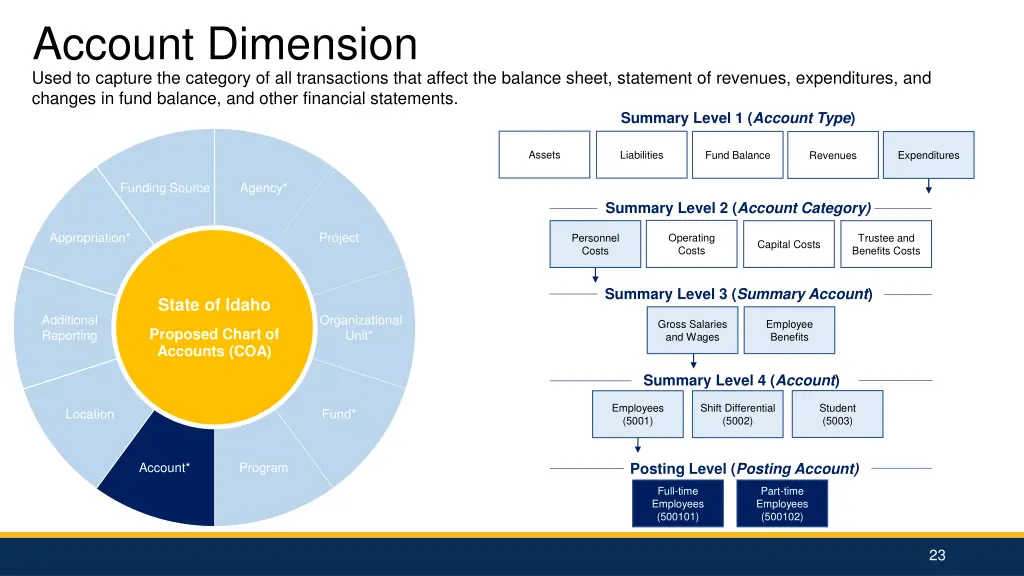 account dimension used to capture the category