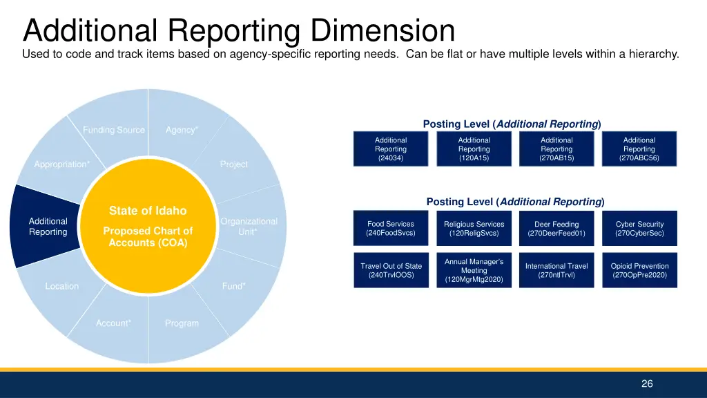 additional reporting dimension used to code