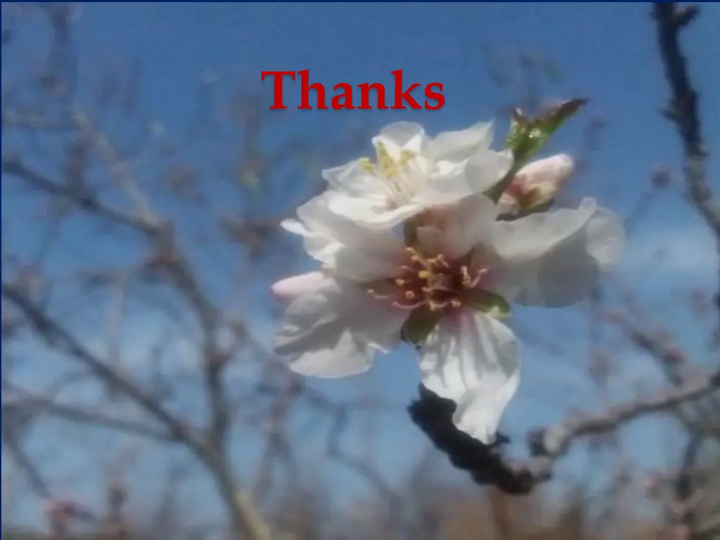thanks