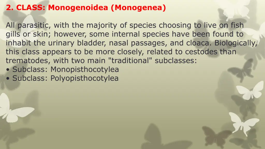 2 class monogenoidea monogenea