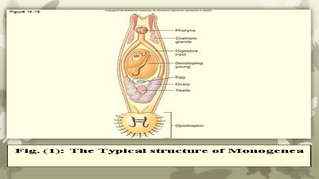 slide10