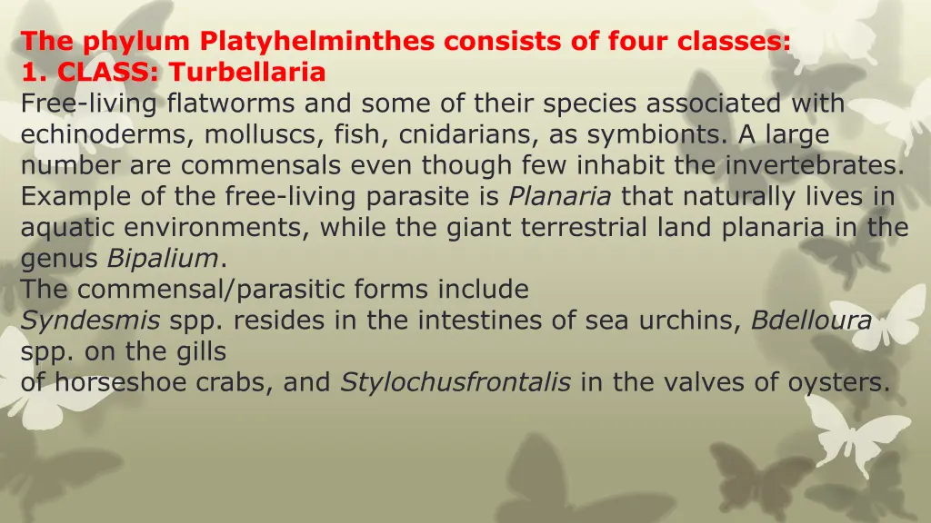 the phylum platyhelminthes consists of four