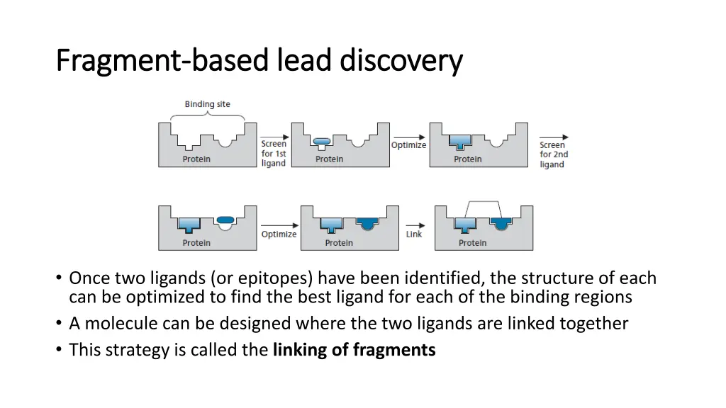 fragment fragment based lead discovery based lead 1