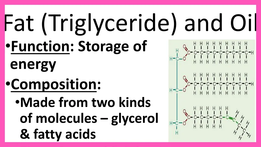 fat triglyceride and oil function storage