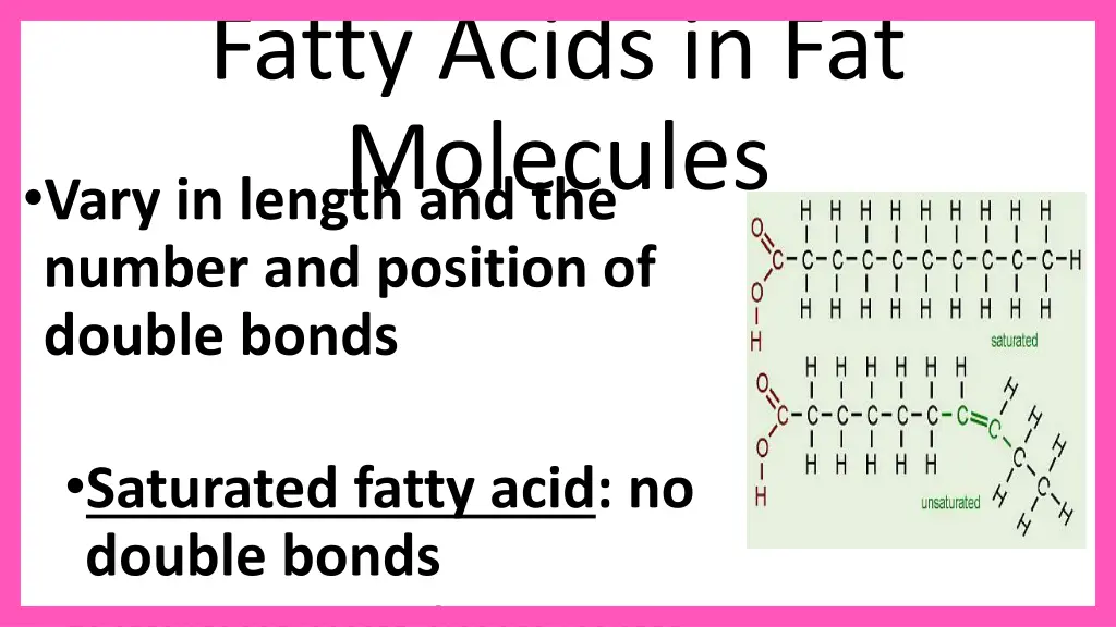 fatty acids in fat molecules vary in length