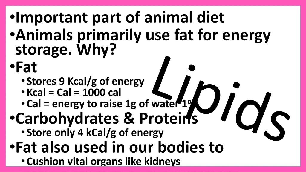 important part of animal diet animals primarily