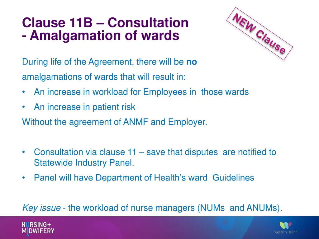 clause 11b consultation amalgamation of wards