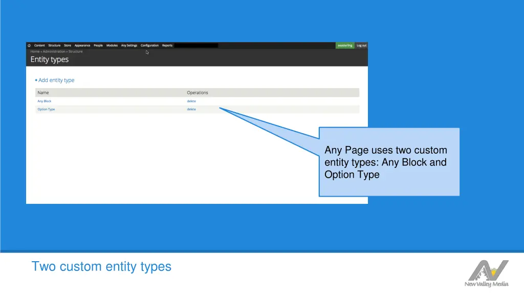 any page uses two custom entity types any block