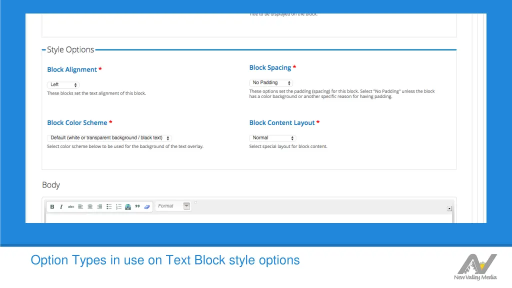 option types in use on text block style options