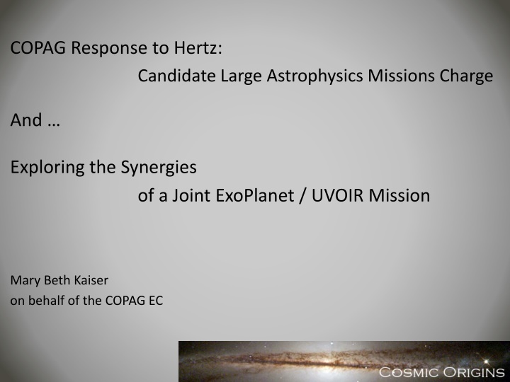 copag response to hertz