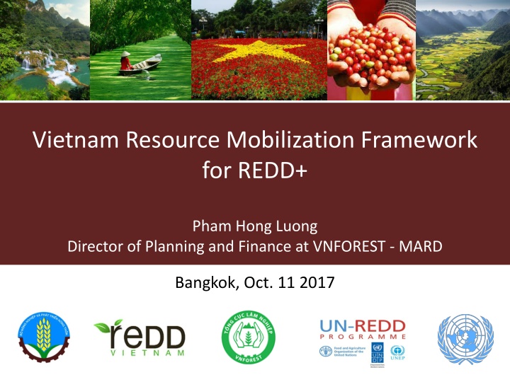 vietnam resource mobilization framework for redd