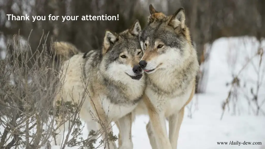 thank you for your attention