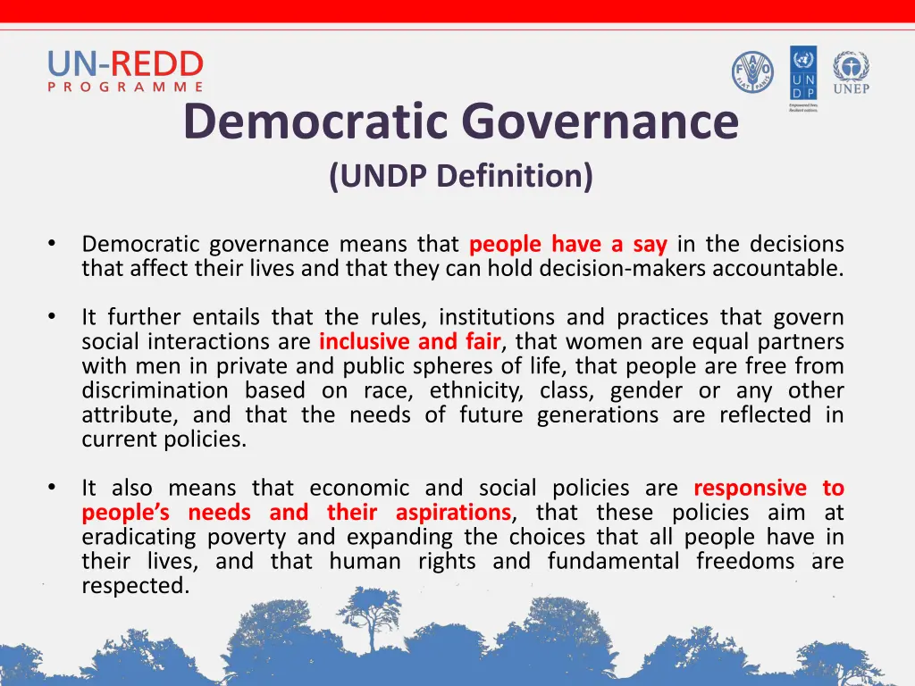 democratic governance undp definition
