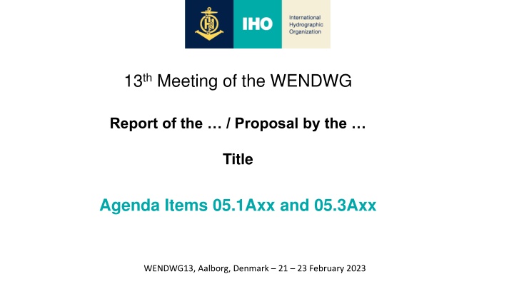 13 th meeting of the wendwg