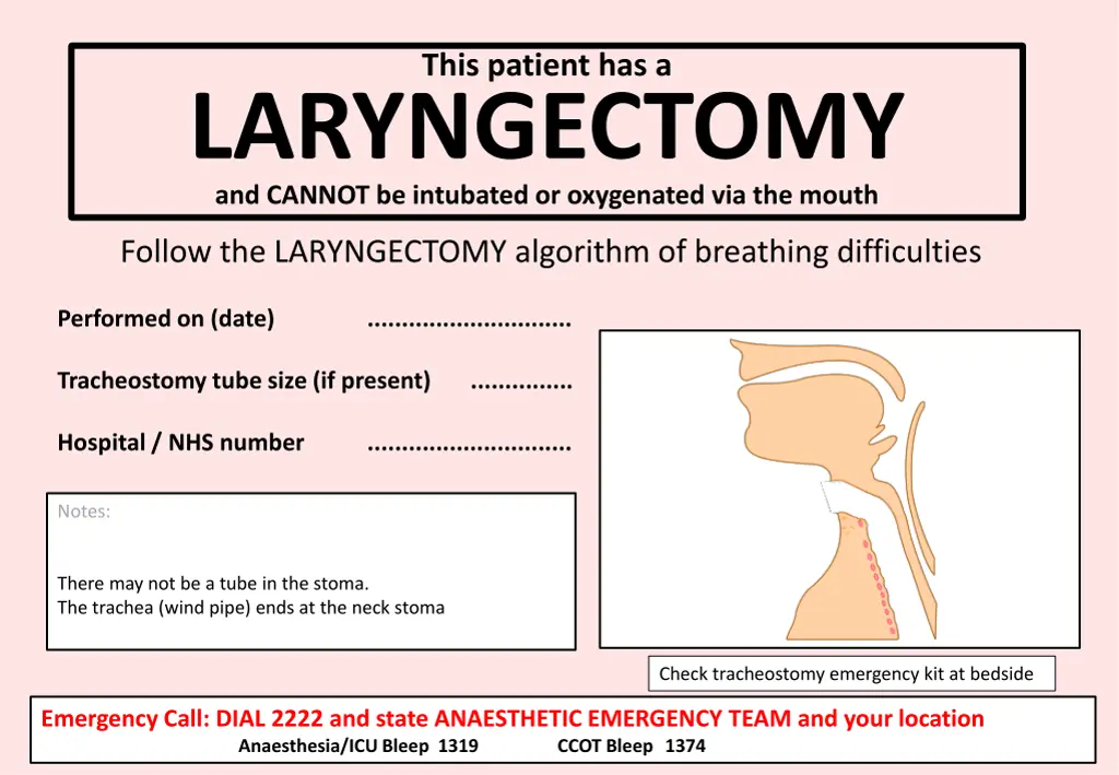 this patient has a 1