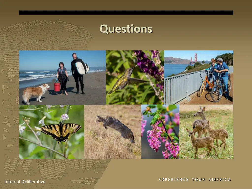 questions