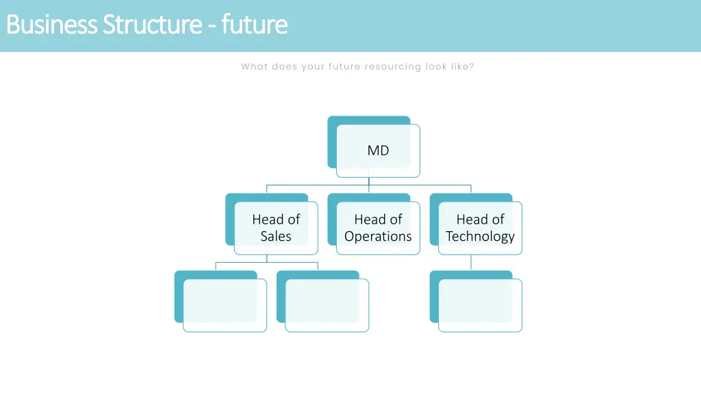 business structure business structure future