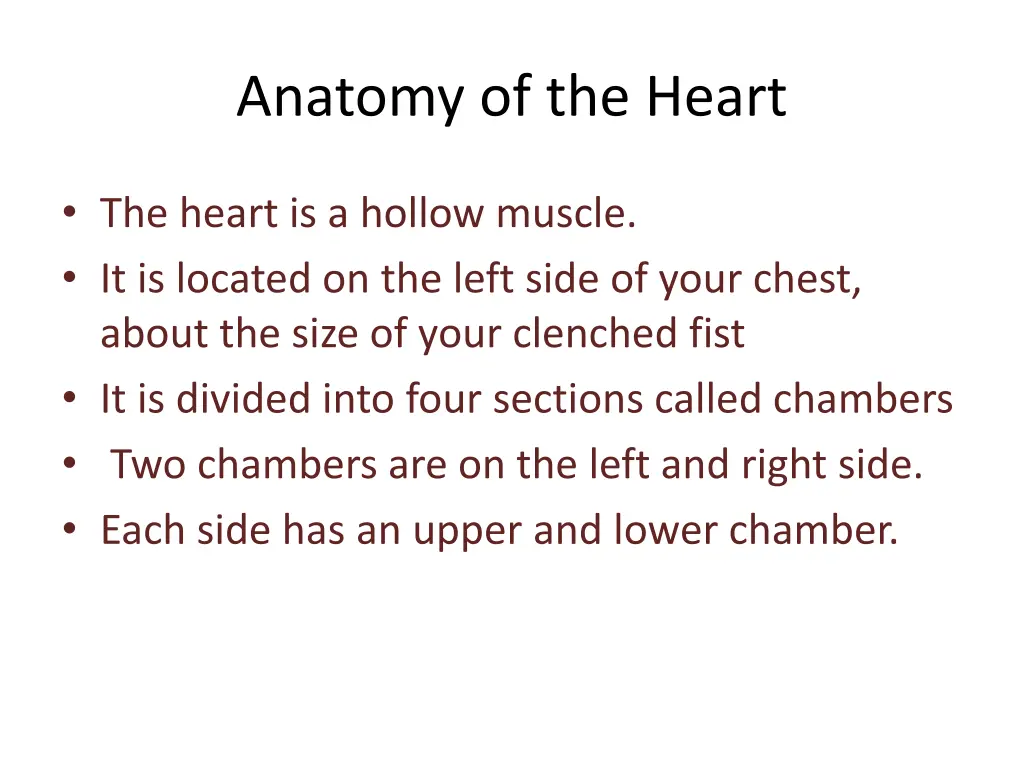 anatomy of the heart