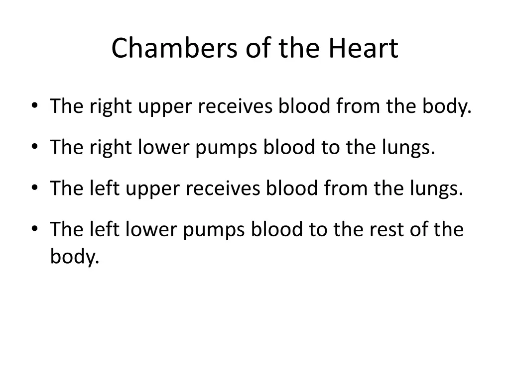 chambers of the heart 1