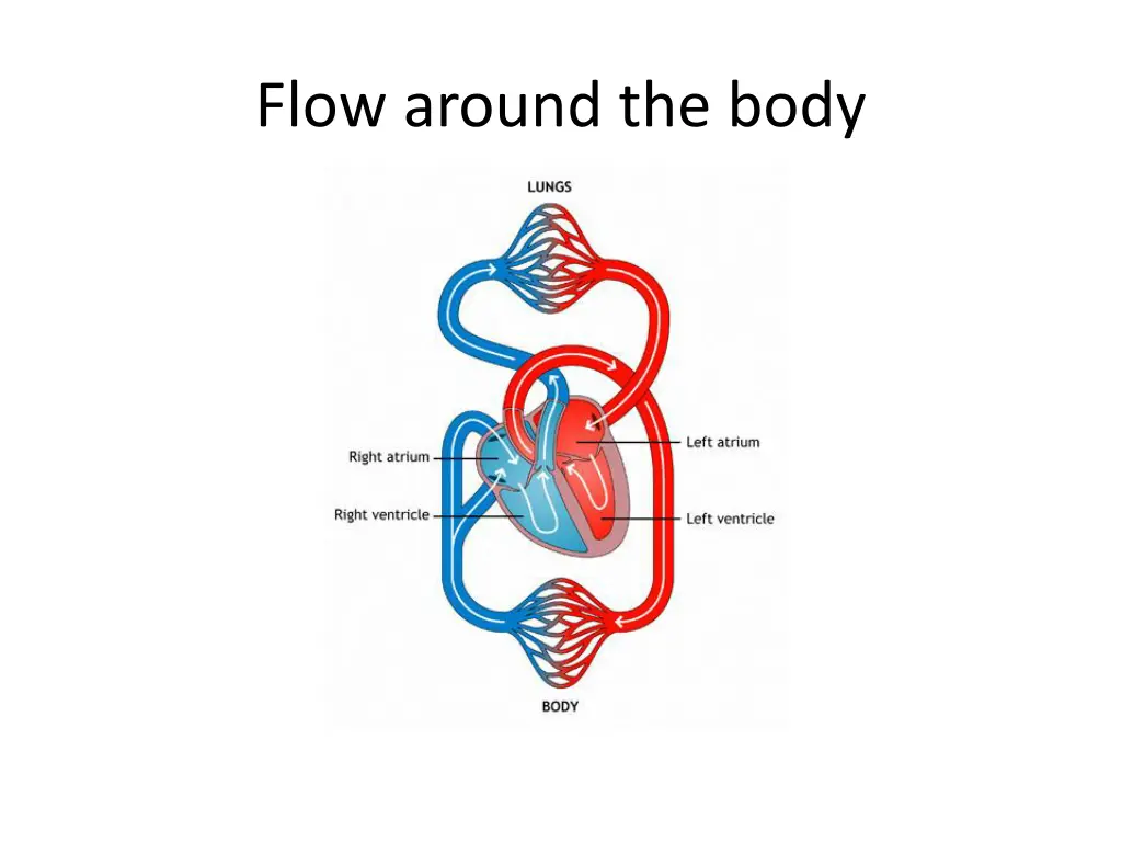 flow around the body