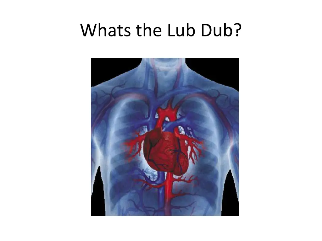 whats the lub dub