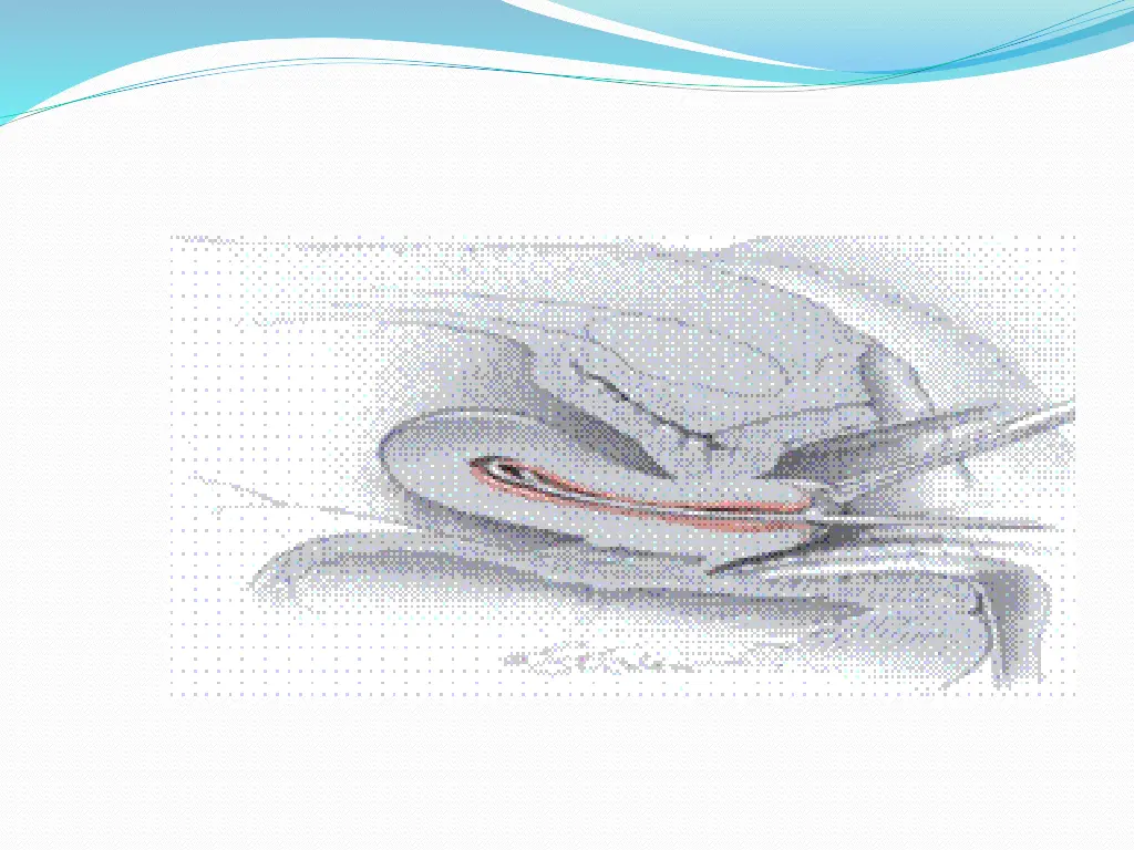 slide35