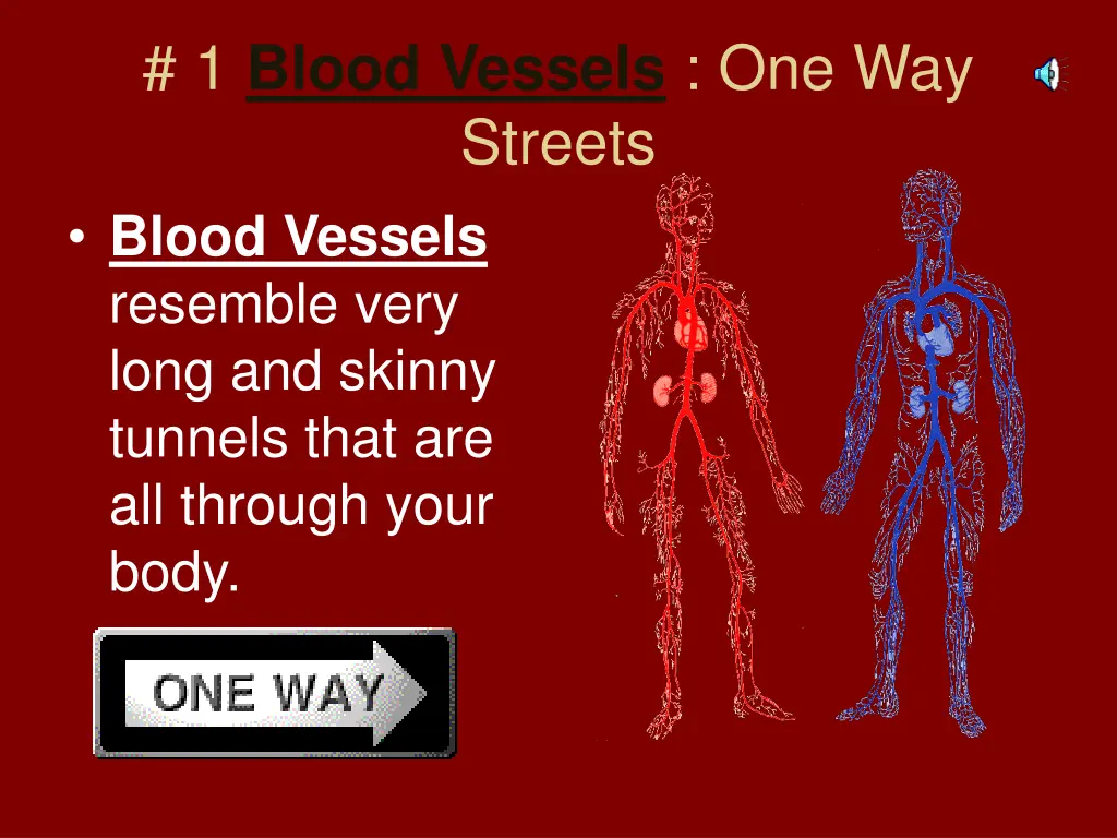 1 blood vessels one way streets blood vessels